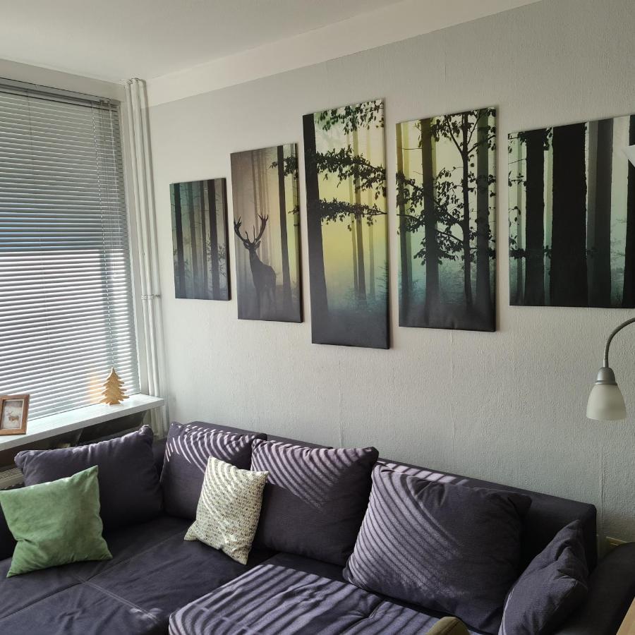 Appartement 7 101 ゴスラー エクステリア 写真