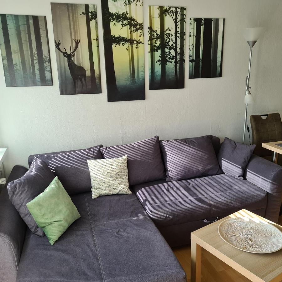 Appartement 7 101 ゴスラー エクステリア 写真