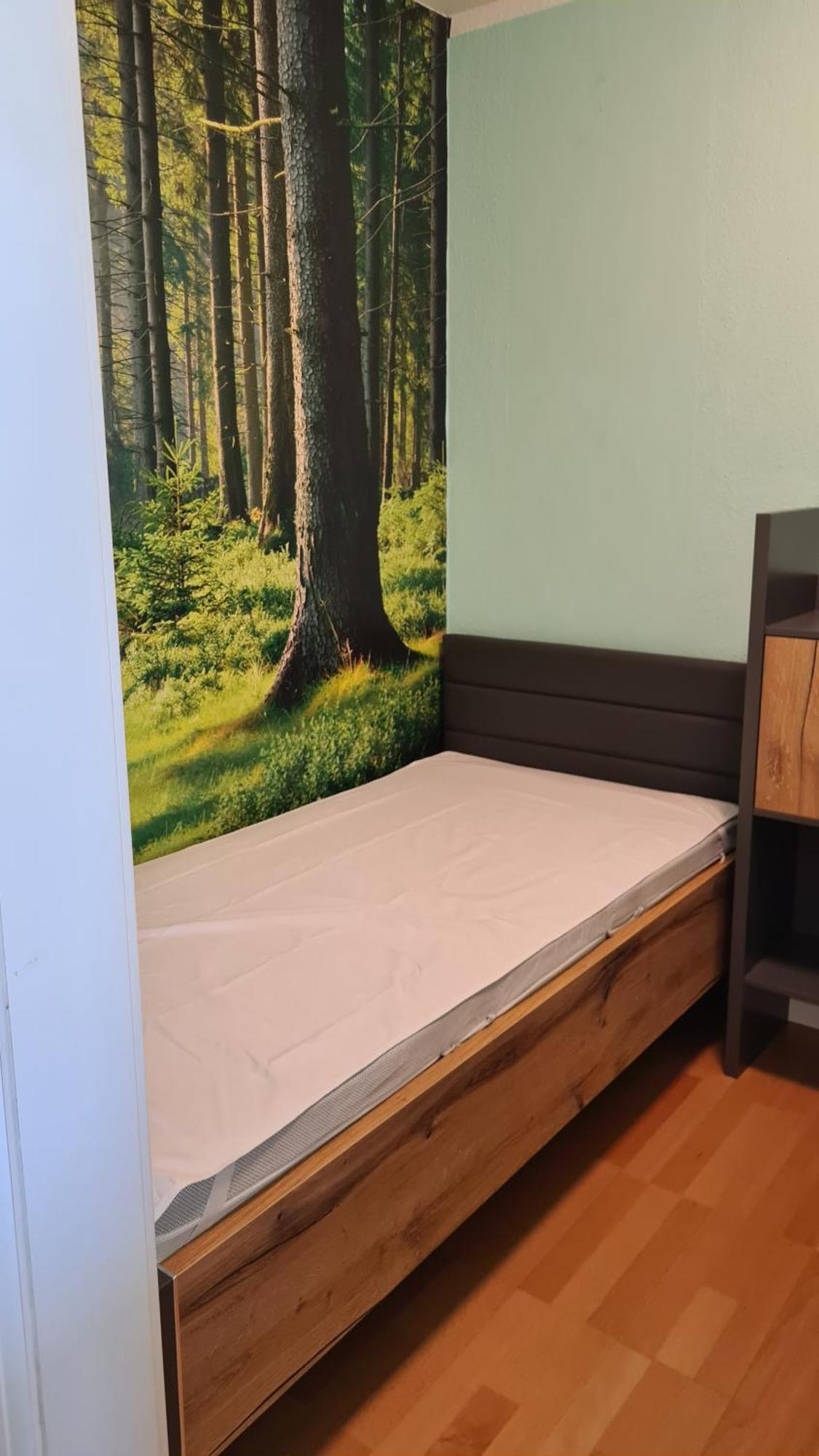 Appartement 7 101 ゴスラー エクステリア 写真