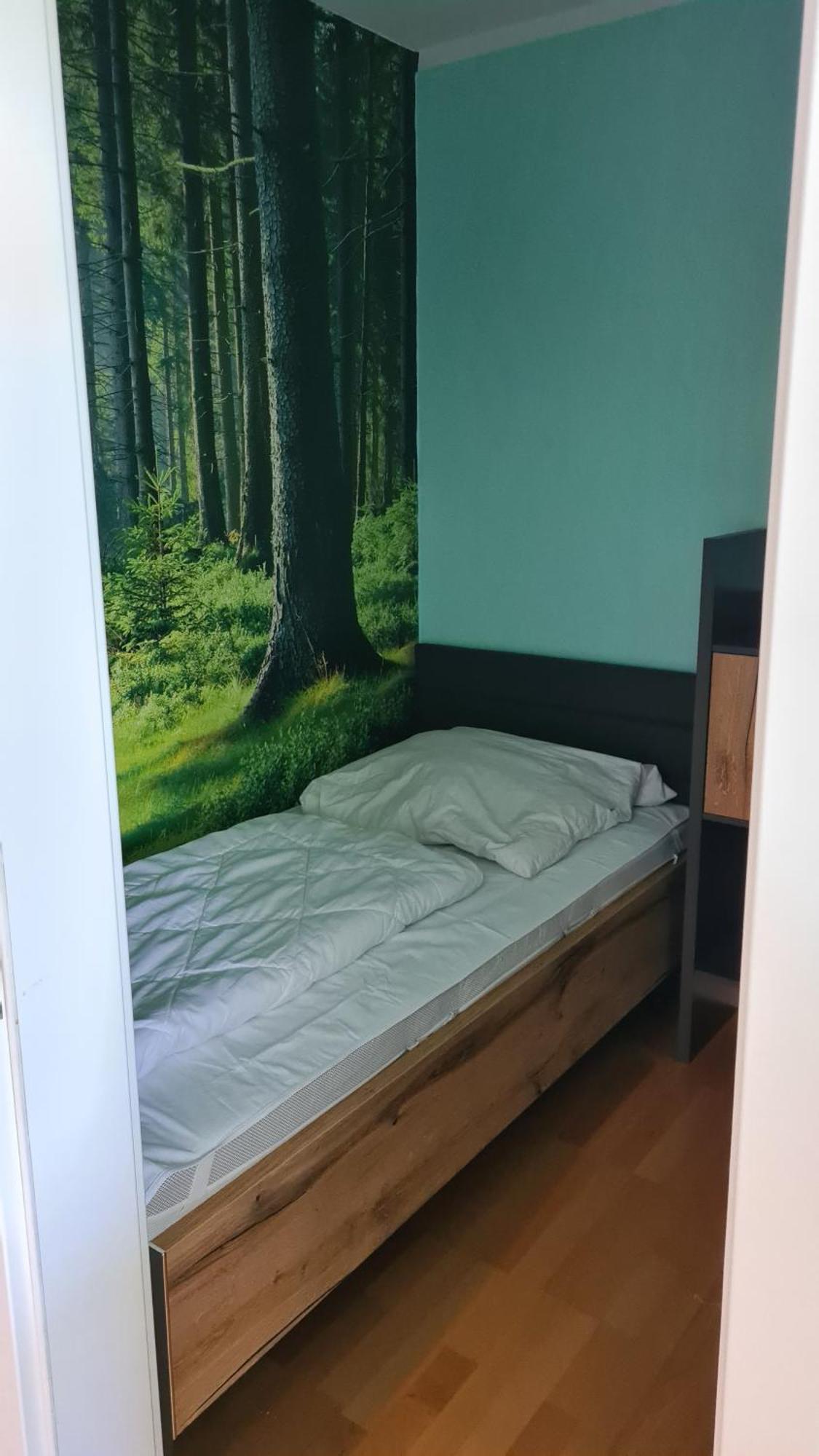 Appartement 7 101 ゴスラー エクステリア 写真